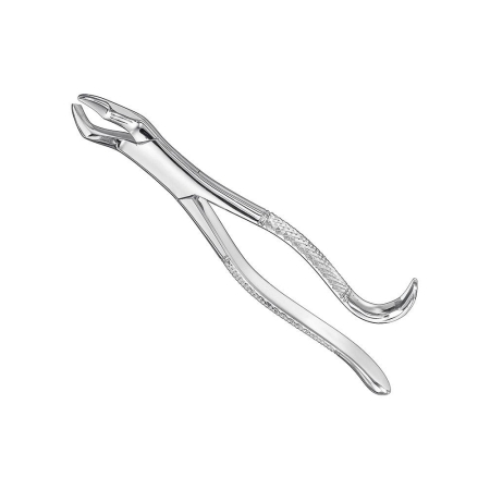 Extracting Forceps